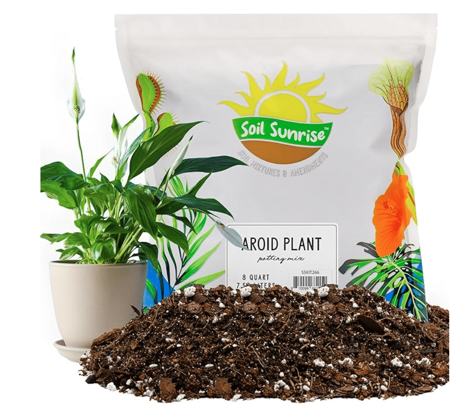 Silver Bay Chinese Evergreen potting mix with sand in front of the packet and a white lily plant